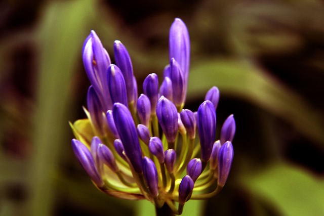 直积极寻求 直积极寻求