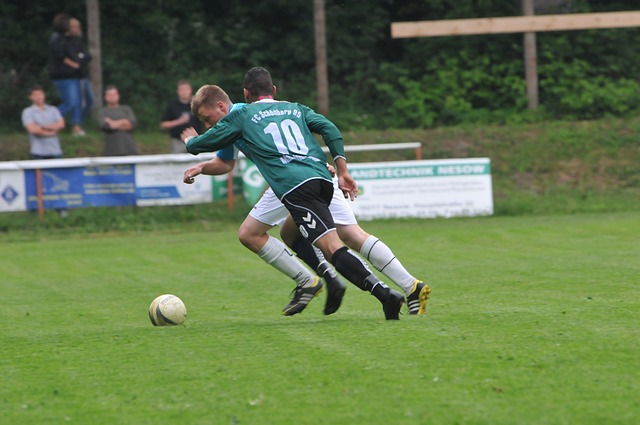 头直指托德 头直指托德