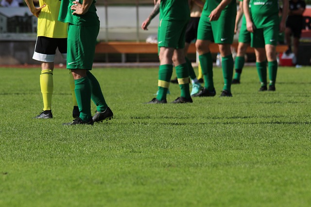 体育的本质 体育的本质