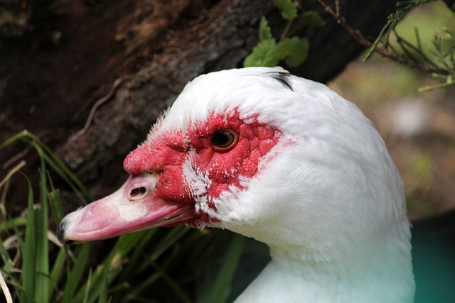 高风险人群 高风险人群