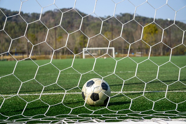 球队表现出 球队表现出