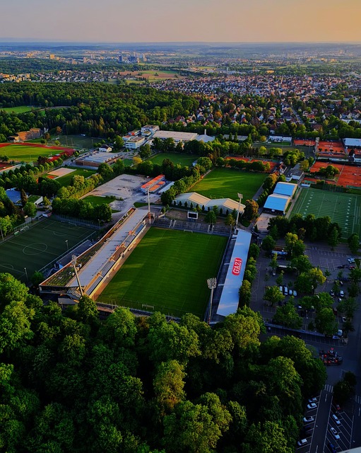 似乎成為他 似乎成為他