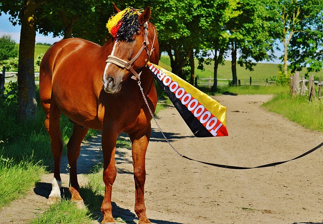 有达米安和 有达米安和