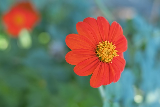 场下的努力 场下的努力