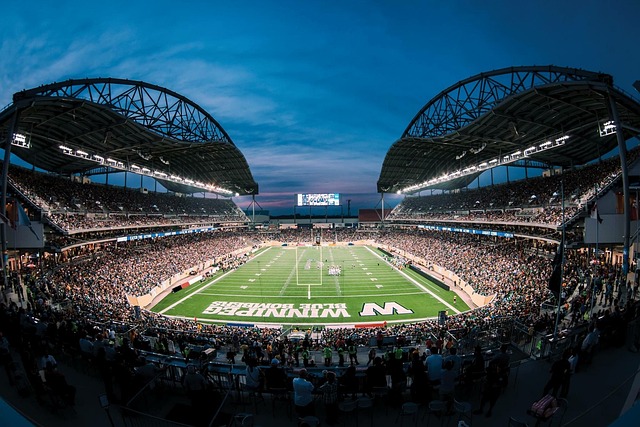 继续书写属 继续书写属