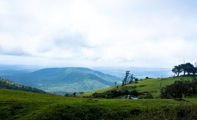 过变化频率 过变化频率
